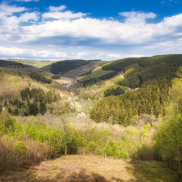 ausblick-schwarzbergturm-saarbrücken.webp
