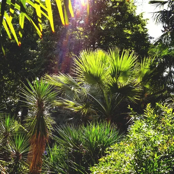 botanischer-garten