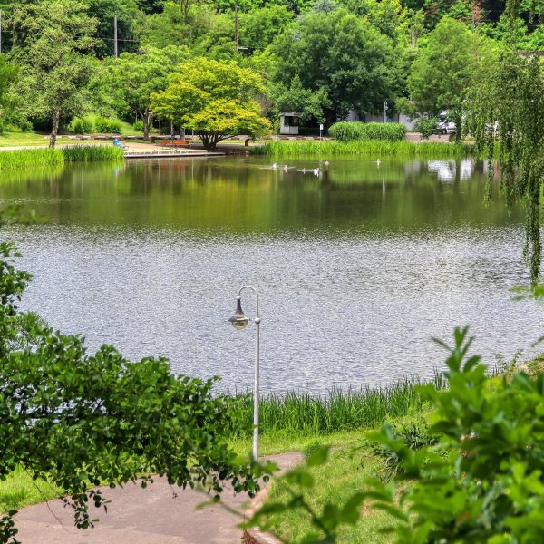 deutsch-französischer-garten-Saarbrücken.webp