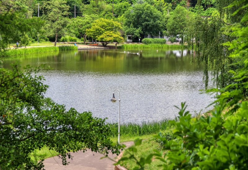 deutsch-französischer-garten-Saarbrücken.webp